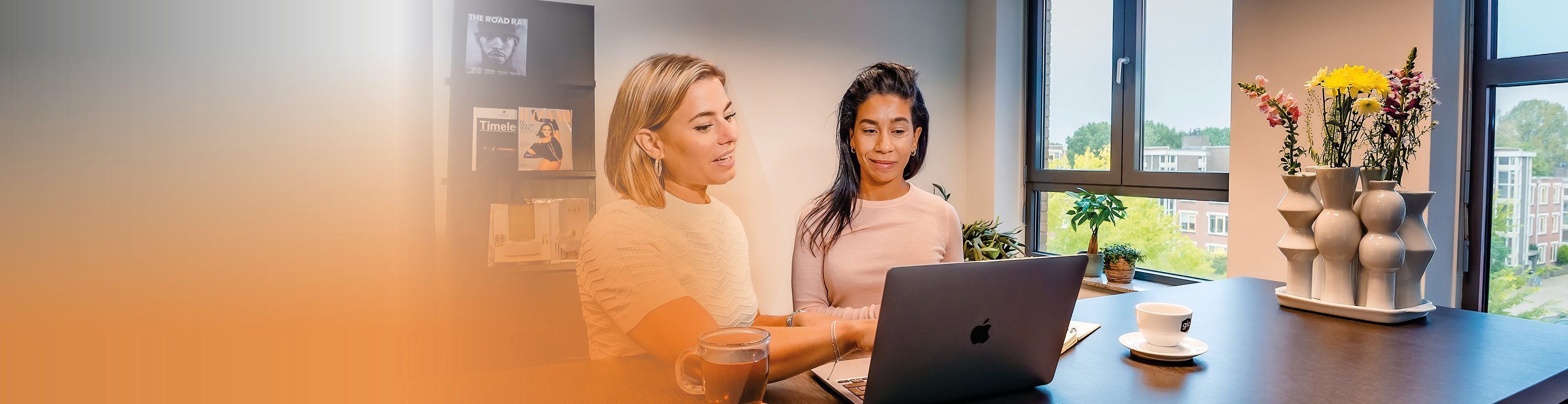 Verschil Business Controller en Financial Controller